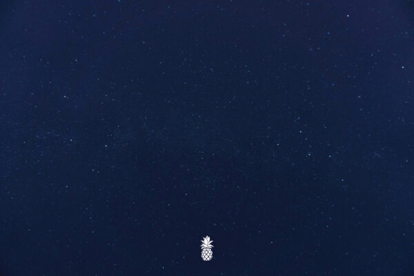 Scott Curran Style Guide_Page_9